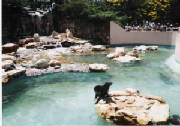 mundo-marino-0001.jpg
