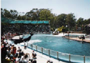 mundo-marino-0002.jpg