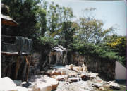 mundo-marino-0008.jpg