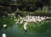 mundo-marino-0009.jpg