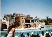 mundo-marino-0011.jpg
