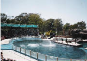 mundo-marino-0019.jpg