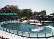 mundo-marino-0021.jpg