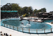 mundo-marino-0022.jpg