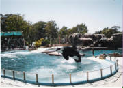 mundo-marino-0024.jpg