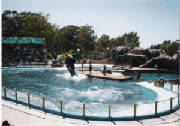 mundo-marino-0025.jpg