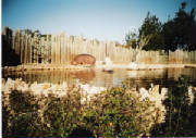 mundomarino_006.jpg