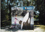 mundomarino_011.jpg