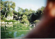mundomarino_012.jpg