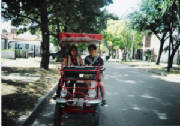 sanbernardo_007.jpg