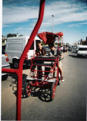 sanbernardov-005.jpg